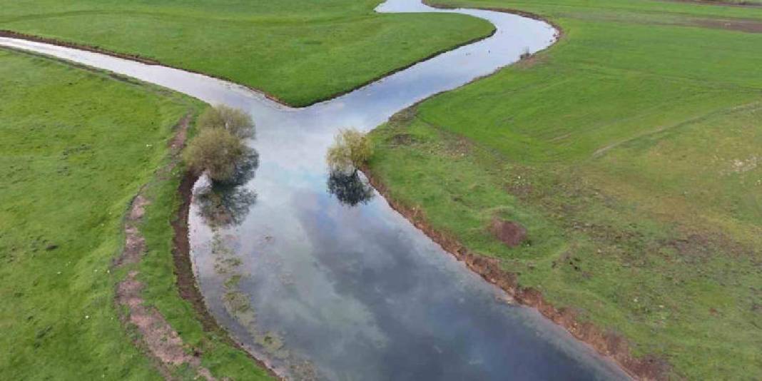 Tablo değil burası Konya: Baharla birlikte leyleklerin durağı yeşile büründü 8